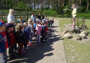 Dzieci ustawione wokół Pani słuchają ciekawostek na temat alpak.